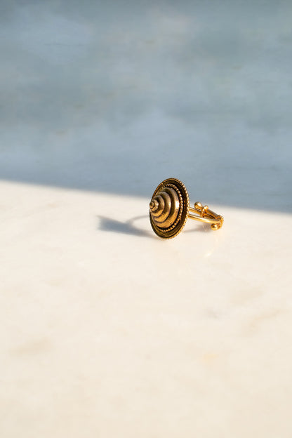 Ancient Concentric Ring